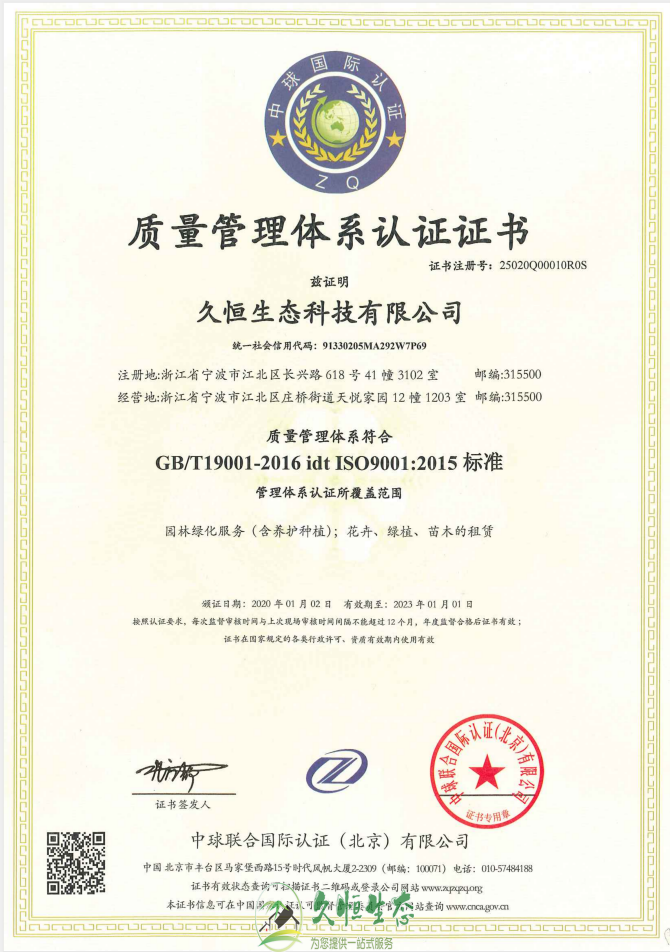 南京溧水质量管理体系ISO9001证书